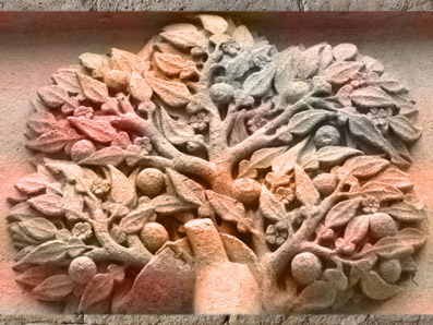 D'après le figuier, selon Fulcanelli, Palais Jacques Coeur XVe siècle, Bourges, France. (Marsailly/Blogostelle)