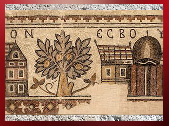 D'après l'Arbre de Vie, détail d'une mosaïque, VIe siècle apjc, église Saint- George, Madaba, Jordanie. (Marsailly/Blogostelle)