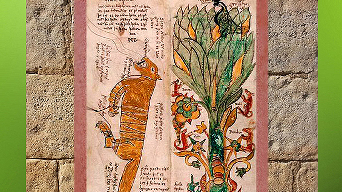 D'après le symbolisme de l'arbre, mythes et traditions, histoire du Sacré. (Marsailly/Blogostelle)