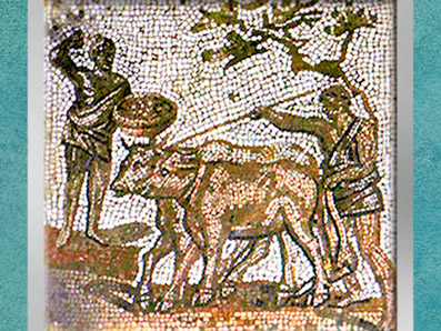 D'après le labourage, mosaïque Saint-Romain-en-Gal, IIIe siècle apjc, Gaule Romaine. (Marsailly/Blogostelle)