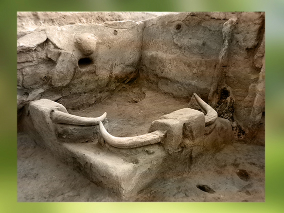 D’après des crânes de Taureau, bucranes, VIe millénaire avjc, Çatal Höyük, Anatolie (Turquie), Levant Néolithique. (Marsailly/Blogostelle)