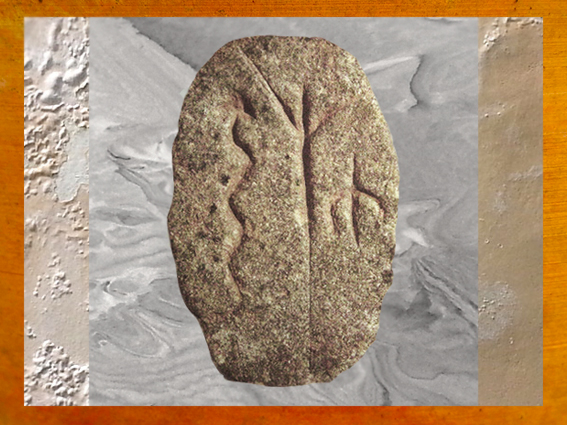 D'après un galet gravé, serpent, arbre et glype (un être humain), Gobleki Tepe, vers 9000 ans avjc, Anatolie, Levant néolithique. (Marsailly/Blogostelle