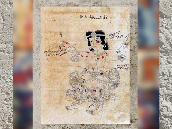 D'après le Traité des étoiles fixes d'al-Sufi, constellation d'Andromède, folio 165, Oxford, 1009-1010, début XIe siècle. (Marsailly/Blogostelle)