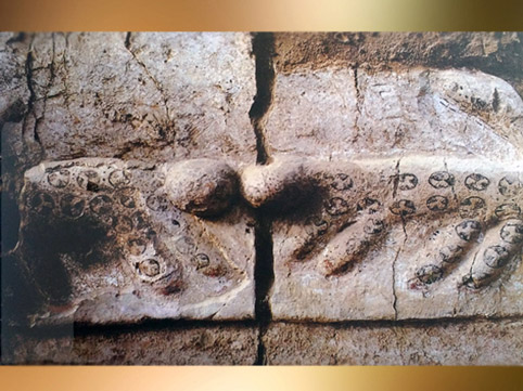 D'après des léopards, relief peint, Çatal Höyük, néolithique, VIe millénaire avjc, Anatolie, Levant, Orient ancien. (Marsailly/Blogostelle)