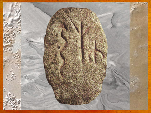 D'après une plaquette incisée, pierre, motifs serpent, arbre et oiseau ou silhouette humaine (?), Göbekli Tepe, Xe - IXe millénaire avjc, Anatolie, Levant, Orient ancien. (Marsailly/Blogostelle)