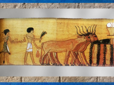 D'après la procession funéraire et offrandes, Livre des Morts, papyrus de Nebqed, vers 1400 avjc, Nouvel Empire, Égypte ancienne. (Marsailly/Blogostelle)