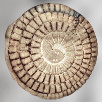 D’après le Jeu du serpent Mehen, albâtre coloré à l’origine de pigments, IIIe-VI dynasties, Ancien Empire, Égypte Ancienne. (Marsailly/Blogostelle)