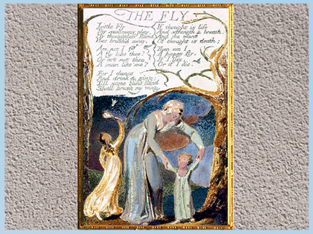 D'après Songs of Innocence and of Experience, The Fly, de William Blake, 1794, encre, aquarelle, fin XVIIIe siècle. (Marsailly/Blogostelle)