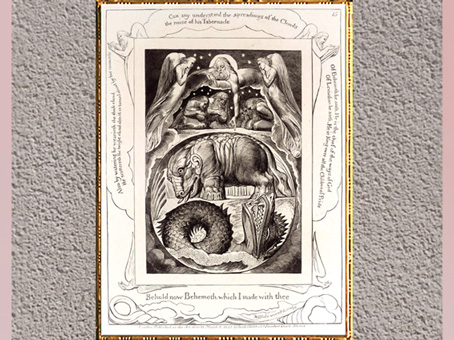 D’après Béhémoth et Léviathan, de William Blake, gravure, Livre de Job, 1825. (Marsailly/Blogostelle)