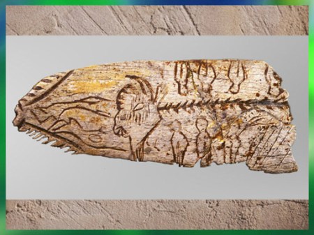 D'après une pendeloque bison, os gravé, vers 12 000-10 000 ans avjc, Magdalénien, abri sous roche Raymonden, Chancelade, Dordogne, paléolithique supérieur. (Marsailly/Blogostelle)