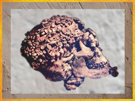 D'après un crâne paré d'ocre rouge et de coquillages, grottes de Grimaldi, aurignacien, vers 35 000- 30 000 ans avjc, Italie, paléolithique. (Marsailly/Blogostelle)