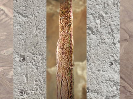 D'après un bâton gravé magdalénien à silhouette humaine, Bruniquel, Tarn, France, paléolithique supérieur. (Marsailly/Blogostelle)