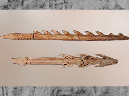 D'après des harpons, bois de renne, Mas-d'Azil, Ariège, Magdalénien, 18000-10000 avjc, France, paléolithique supérieur. (Marsailly/Blogostelle)