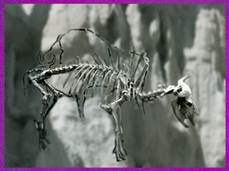 D'après un squelette de bison, Dordogne, France, paléolithique supérieur. (Marsailly/Blogostelle)