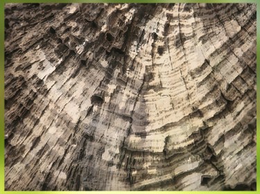 D'après l'étude de la dendrochronologie, fondée sur la croissance des arbres. (Marsailly/Blogostelle)