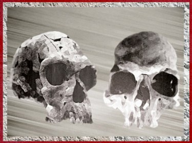 D'après des crânes de type Homo habilis, paléolithique inférieur. (Marsailly/Blogostelle)