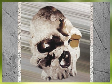 D'après le crâne du Caune de l'Arago, Homo Erectus, daté vers 400 000 - 350 000 avjc, paléolithique inférieur. (Marsailly/Blogostelle) 