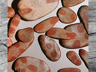 D'après des galets peints aziliens, Mas-d’Azil, Ariège, France, mésolithique. (Marsailly/Blogostelle)