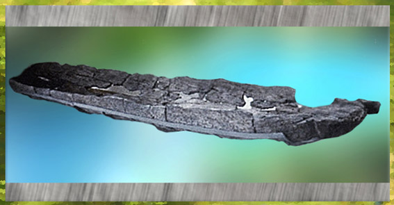 D'après les vestiges d'une pirogue en bois, Charente, Nouvelle-Aquitaine, France, néolithique. (Marsailly/Blogostelle)