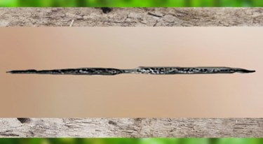 D'après un arc, Holmegaard, Danemark, mésolithique. (Marsailly/Blogostelle)