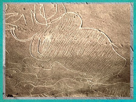 D'après un mammouth, grotte de Cussac, gravure, Dordogne, vers 29500-28000 ans avjc, gravettien, France, paléolithique supérieur. (Marsailly/Blogostelle)