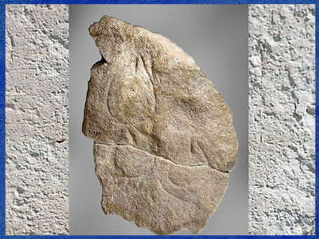 D'après représentations vulvaires, gravures sur bloc, vers 30 000 avjc, abri Blanchard, Dordogne, France. aurignacien, paléolithique. (Marsailly/Blogostelle)