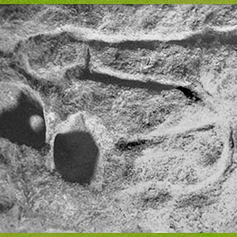 D’après une représentation sexuelle, gravure, aurignacien, abri-sous-roche de Castanet, France, paléolithique supérieur. (Marsailly/Blogostelle)