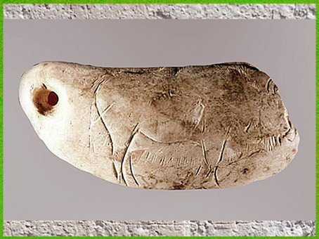 D'après un élément de parure, dent de cachalot percée et gravée, bison, grotte de Las Caldas, vers 14 600-14200 avjc, magdalénien, paléolithique supérieur. (Marsailly/Blogostelle)