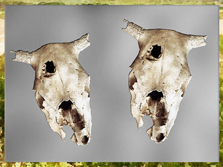 D'après des crânes de bovidés, village de Champ-Durand, Nieul-sur-l'Autise Vendée, France, néolithique. (Marsailly/Blogostelle)