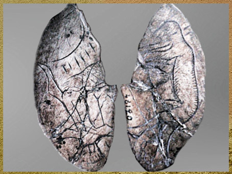 D'après un personnage masculin avec museau, rondelle, os gravé, Mas-d’Azil, Ariège, magdalénien, France, paléolithique supérieur. (Marsailly/Blogostelle)