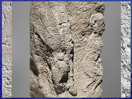 D'après un homme fuyant devant un bison, scène rupestre, abri du Roc-de-Sers, Charente, vers 18 000 avjc, France, paléolithique supérieur. (Marsailly/Blogostelle)