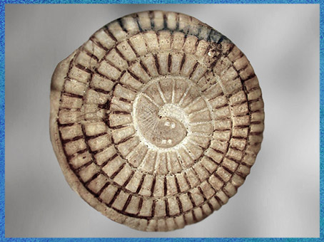 D’après le jeu du serpent Mehen, albâtre et pigments de couleur, IIIe-VI dynasties, Ancien Empire, Égypte ancienne. (Marsailly/Blogostelle)