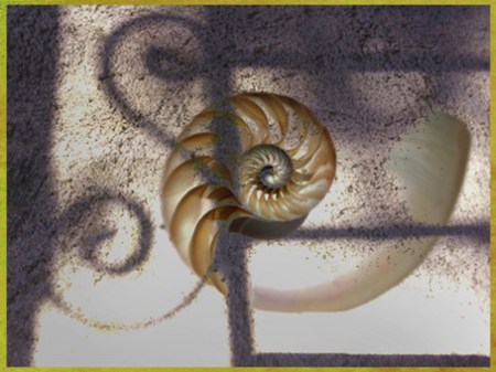 D’après la coquille en spirale des escargots. (Marsailly/Blogostelle)