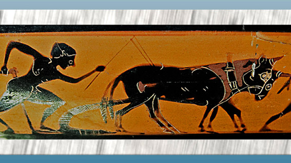 D'après un laboureur, coupe attique, céramique à figures noires, vers 525 avjc, Athènes, Grèce antique. (Marsailly/Blogostelle)