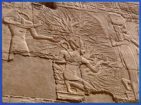 D’après l’arbre sacré Ished, Thot consigne sur ses feuilles le règne du roi Séthi Ier, relief, temple de Karnak, Nouvel Empire, 1555-1080 avjc, Égypte ancienne. (Marsailly/Blogostelle)