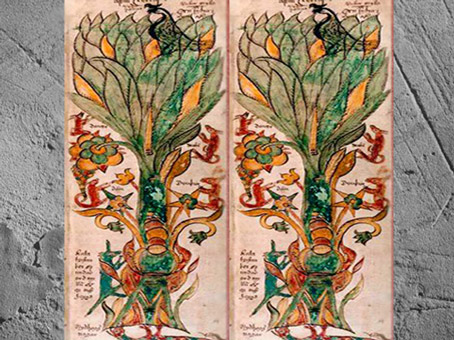 D’après une représentation d'Yggdrasil, arbre cosmique dans la mythologie scandinave, XVIIe siècle, Islande. (Marsailly/Blogostelle)