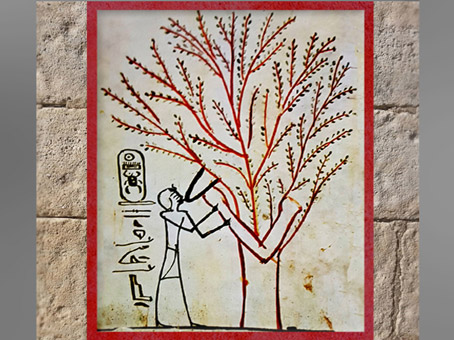 D’après pharaon allaité par l'arbre de Vie, acacia, peinture, hypogée de Thoutmosis III, Thèbes, Nouvel Empire, Égypte ancienne. (Marsailly/Blogostelle)