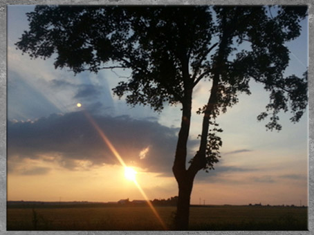 D'après le thème de l'arbre cosmique, symboliquement situé au centre du Monde. (Marsailly/Blogostelle)