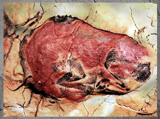 D'après un bison couché, grotte d’Altamira, peinture rouge, position fœtale, solutréen et magdalénien, Espagne, paléolithique supérieur.  (Marsailly/Blogostelle)