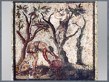 D'après la récolte des pommes, mosaïque de Saint-Romain-en-Gal, début IIIe siècle, Vienne, Rhône, France, Gaule Romaine. (Marsailly/Blogostelle)