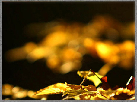 L’expérimentation originelle du jour et de la nuit a pu inspirer le mythique combat entre la lumière et les ténèbres. (Marsailly/Blogostelle)