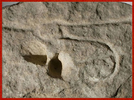 D’après une représentation sexuelle, gravure sur bloc, pénis et vulve, 37 000 avjc, Aurignacien, abri-sous-roche de Castanet, Dordogne, France, paléolithique supérieur. (Marsailly/Blogostelle)