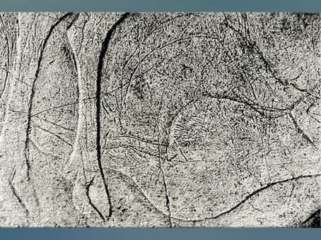 D’après une femme enceinte et cervidé ou taureau, gravure sur os, Magdalénien, Laugerie-Basse, Eyzies-de-Tayac, France, paléolithique supérieur. (Marsailly/Blogostelle)