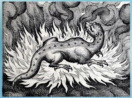 D’après la salamandre alchimique, illustrations des Atalanta Fugiens de Michael Maier, 1618, gravure, édition Hieronymus Galler, Allemagne, XVIIe siècle. (Marsailly/Blogostelle)