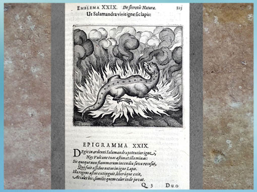 D’après la salamandre alchimique, illustrations des Atalanta Fugiens de Michael Maier, 1618, gravure, édition Hieronymus Galler, Allemagne, XVIIe siècle. (Marsailly/Blogostelle)