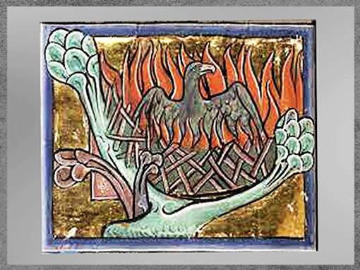 D'après le phénix dans son nid, Bestiaire d'Aberdeen, parchemin enluminé, vers 1200, Ecosse, art médiéval. (Marsailly/Blogostelle) 