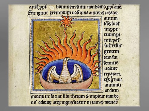 Le symbolisme du Feu. 3. Feu cosmique, rituel et spirituel, salamandre