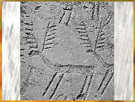 D’après des cerfs et leurs grandes ramures, gravures rupestres, val Camonica, Italie, âge du Bronze. (Marsailly/Blogostelle)