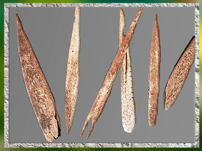 D'après des pointes de sagaies, bois de renne, Magdalénien, paléolithique supérieur. (Marsailly/Blogostelle)