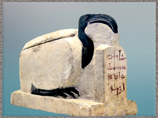 D’après un sarcophage d’ibis, calcaire polychrome, époque ptolémaïque, Égypte ancienne. (Marsailly/Blogostelle) 